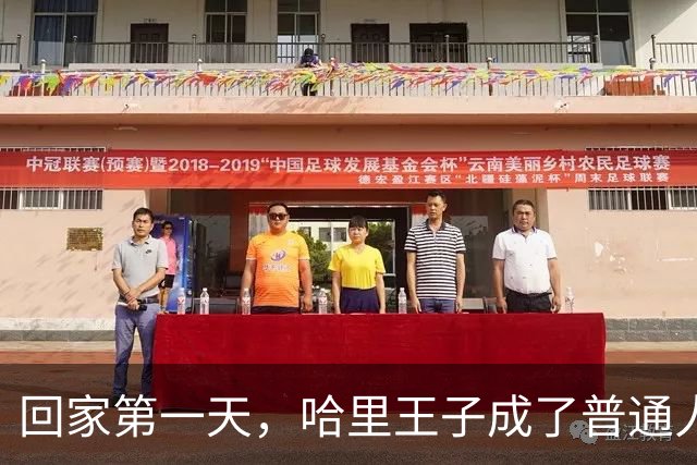回家第一天，哈里王子成了普通人：一串电话号码就是他得到的全部官方安保